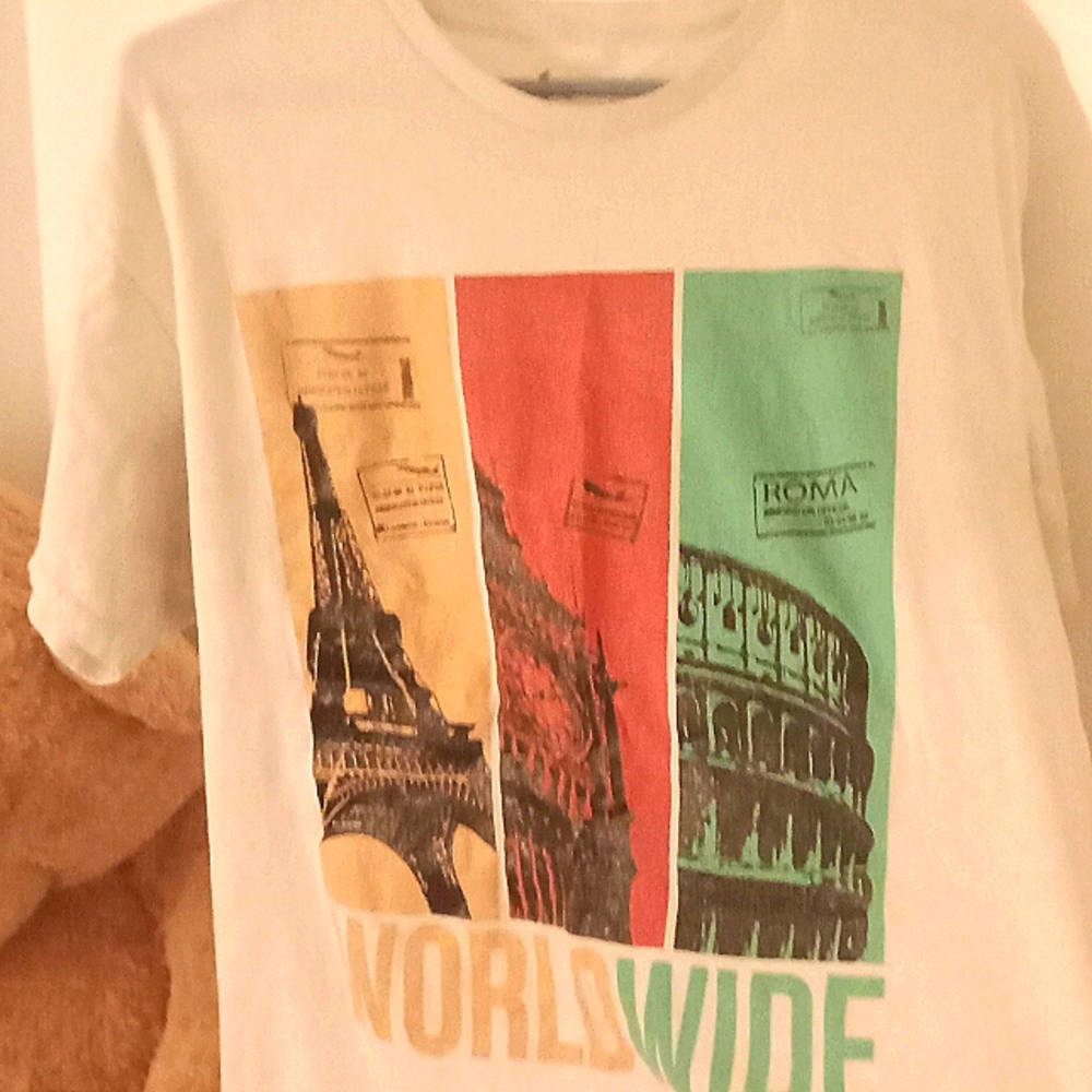 Large worldwide branded by vibes, men's T-shirt (L) Paris, Roman, London
